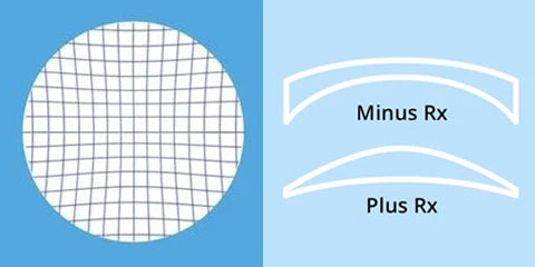 ZENOTTIC (XL Size)Modish