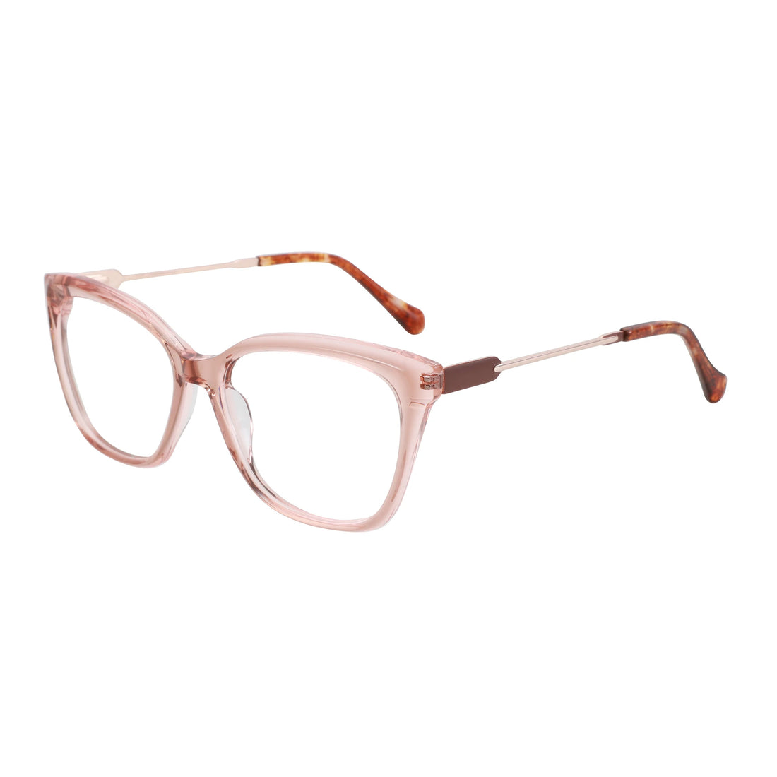 ZENOTTIC (L Size) 2025 ﻿New